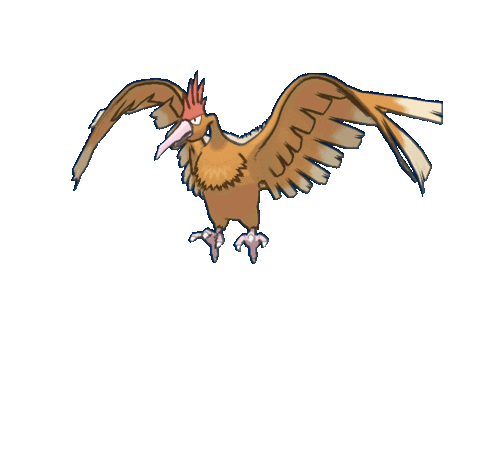 spearow animeeritud-pildid-gif